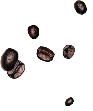 Cacao